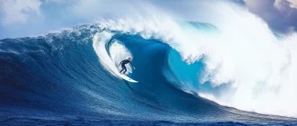 Top Surfing Statistics
